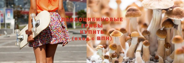 сатива Абинск