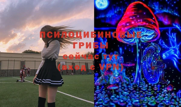 марихуана Абаза