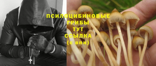 марихуана Абаза
