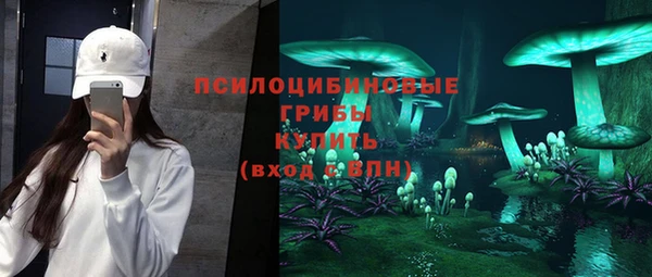 гидра Горнозаводск