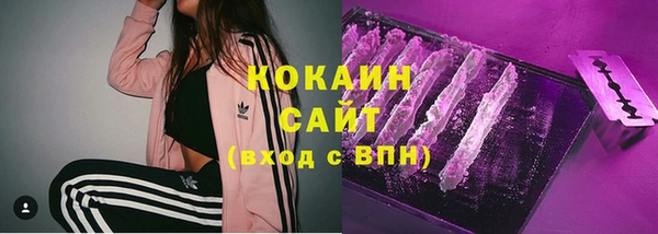 сатива Абинск