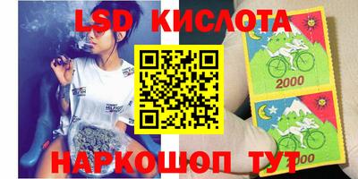 прущие грибы Краснодар