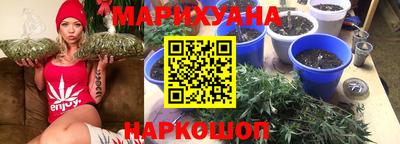 прущие грибы Краснодар