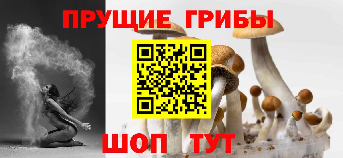 Керчь  Псилоцибиновые грибы Psilocybine cubensis  Вход с VPN 