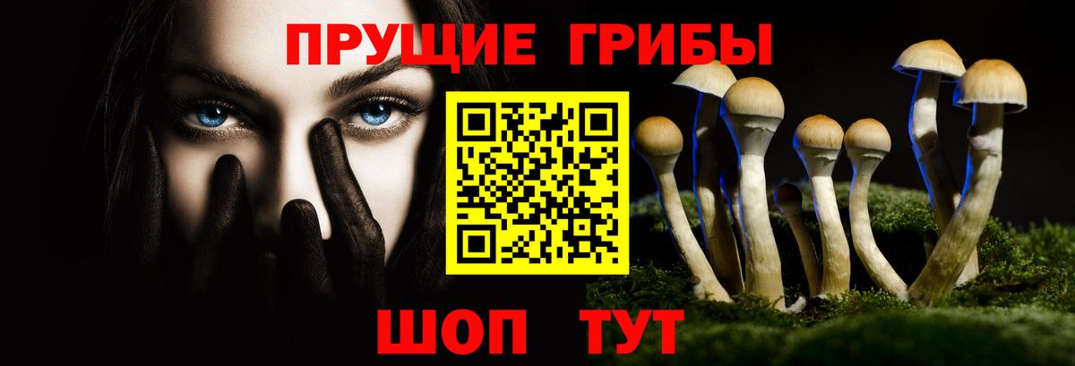 Галлюциногенные грибы Cubensis Керчь